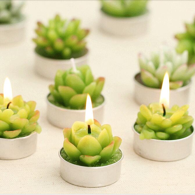 Succulent Shape Pure Paraffin Wax Home Decoration Art Craft Candle